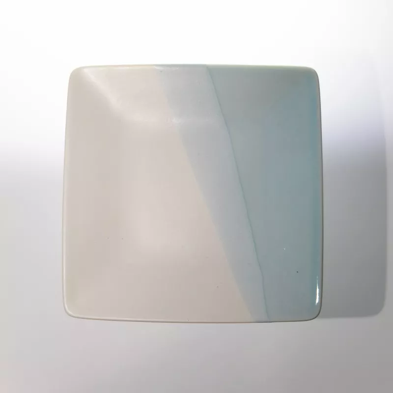 Modern Two Tone Ceramic Square Plate